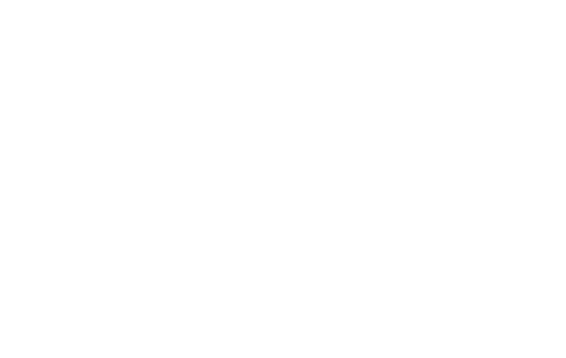 Laura J Novak